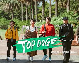 AV头等舱《TOP DOG》免费在线观看