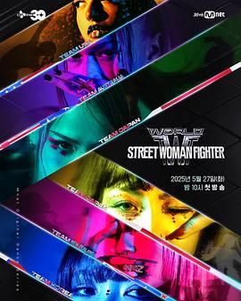 AV头等舱《世界街头女斗士3》免费在线观看