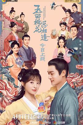 AV头等舱《玉面桃花总相逢》免费在线观看