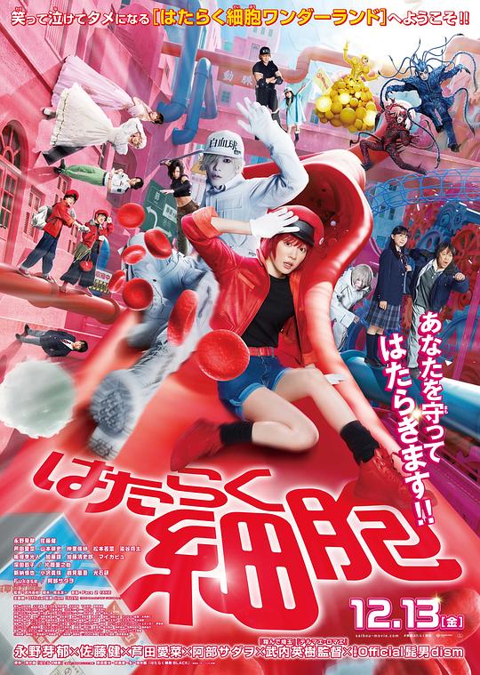 AI色情网站《工作细胞 真人版 はたらく細胞》免费在线观看