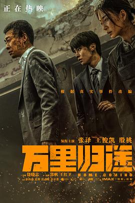 AV头等舱《万里归途》免费在线观看