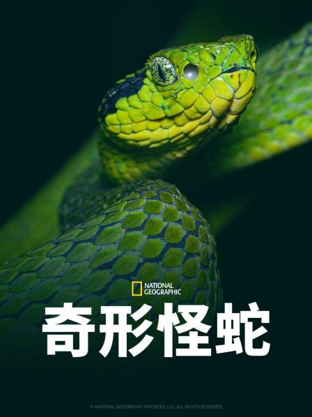av福利社《奇形怪蛇》免费在线观看