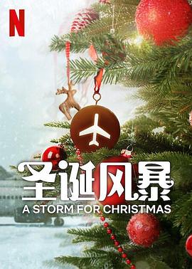 AI色情网站《圣诞风暴》免费在线观看