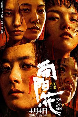AV头等舱《向阳·花》免费在线观看